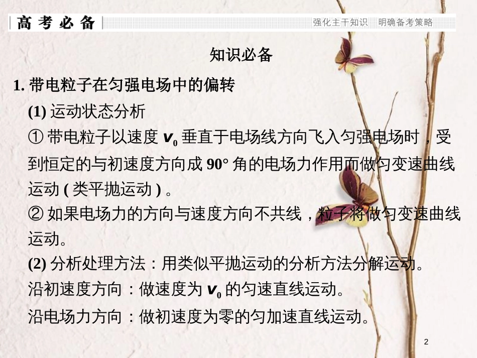 （全国通用）高考物理二轮复习 专题一 力与运动 第4讲 电学中的曲线运动课件_第2页