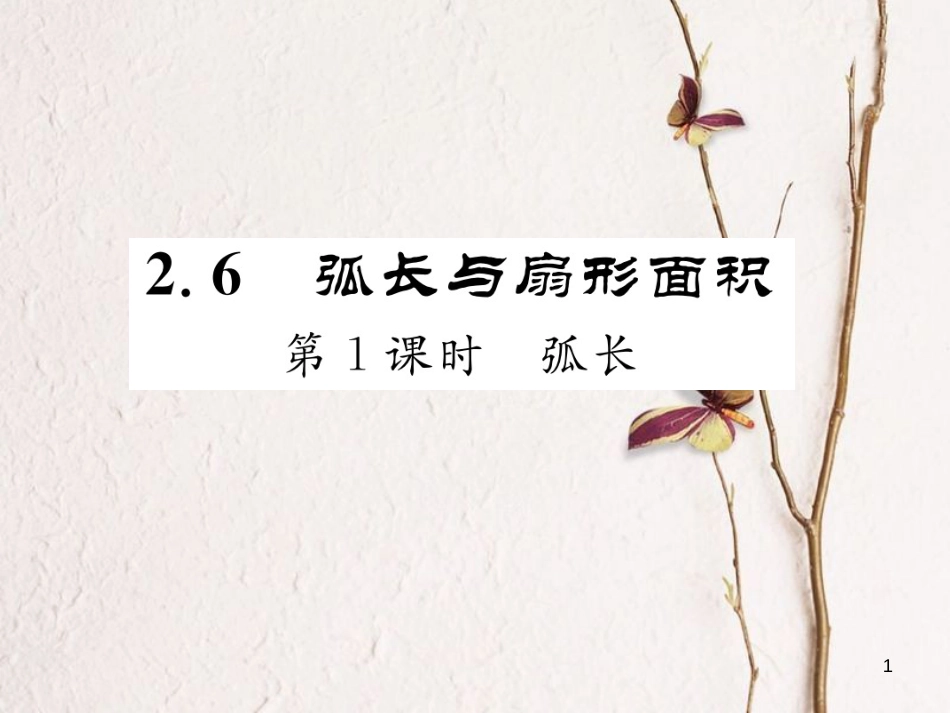 九年级数学下册 第2章 圆 2.6 弧长与扇形面积 第1课时 弧长作业课件 （新版）湘教版_第1页