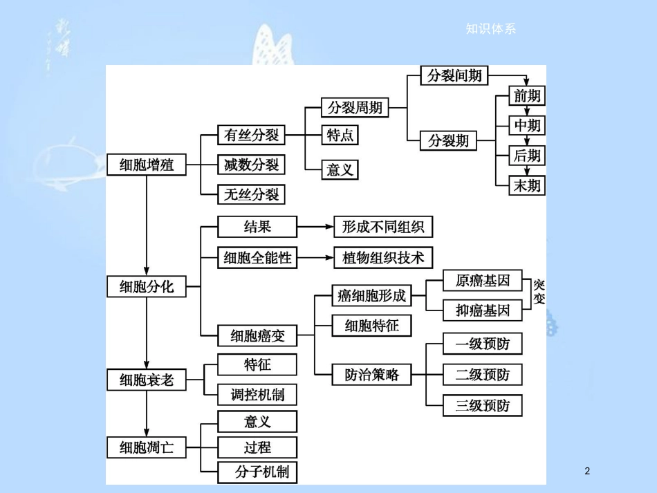 高中生物 第五章 细胞增殖、分化、衰老和凋亡本章整合课件 苏教版必修1_第2页