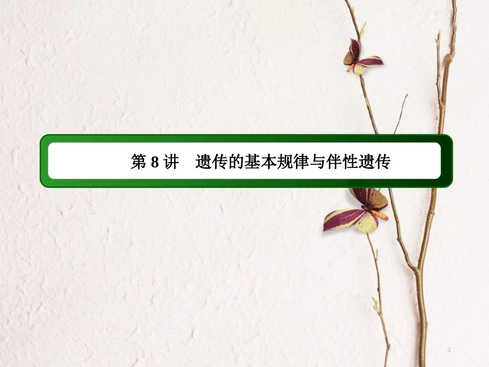 高三生物二轮复习 8遗传的基本规律与伴性遗传课件_第3页