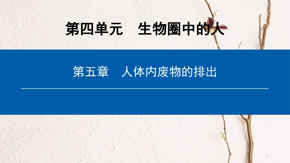 （深圳专用）七年级生物下册 第四单元 第五章 人体内废物的排出课件 （新版）新人教版_第1页