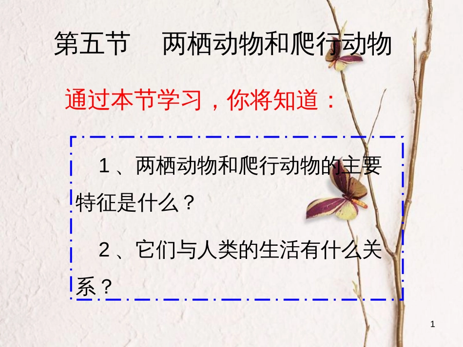 八年级生物上册 5.1.5 两栖动物和爬行动物课件 （新版）新人教版_第1页