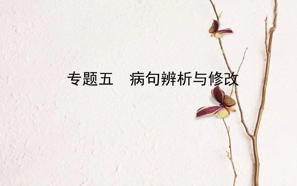 山东省德州市中考语文 专题复习五 病句辨析与修改课件_第1页