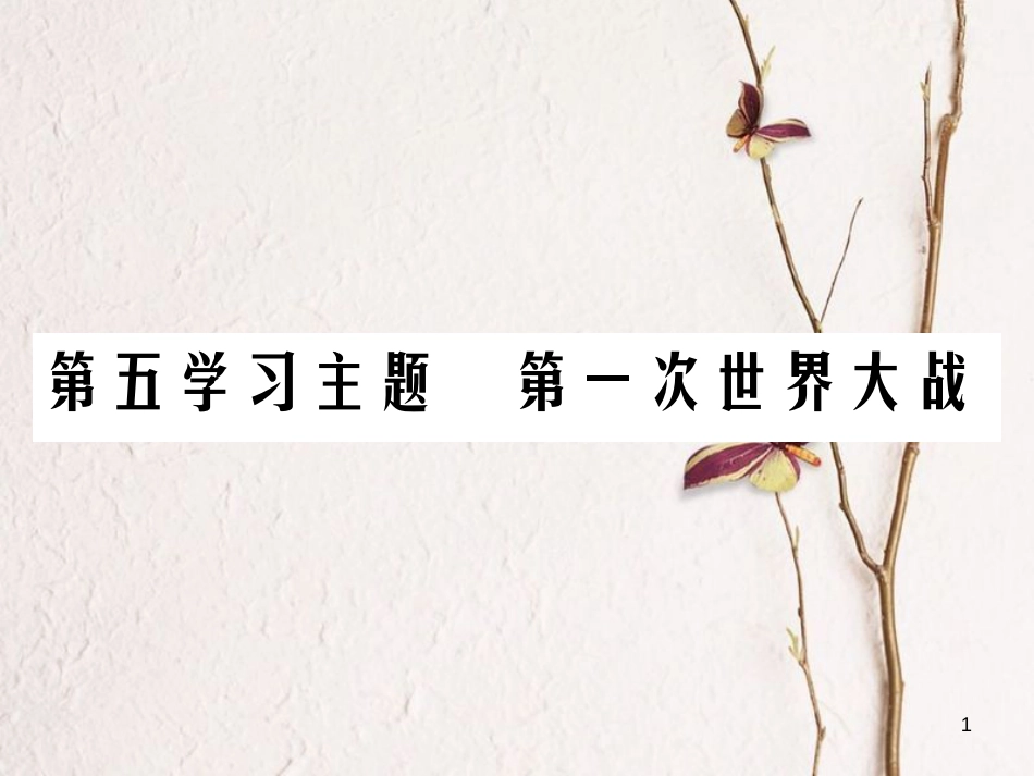 中考历史总复习 第五部分 世界近代史 第五学习主题 第一次世界大战课件_第1页