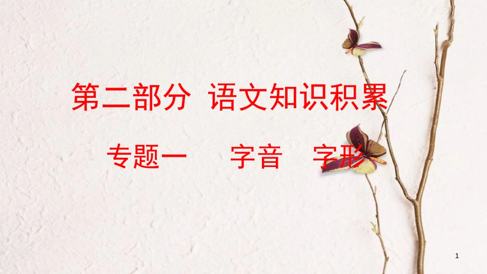 云南省中考语文复习方案 第二部分 语文知识积累 专题一 字音 字形课件_第1页