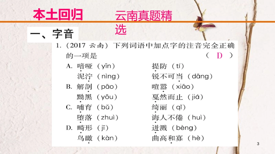 云南省中考语文复习方案 第二部分 语文知识积累 专题一 字音 字形课件_第3页