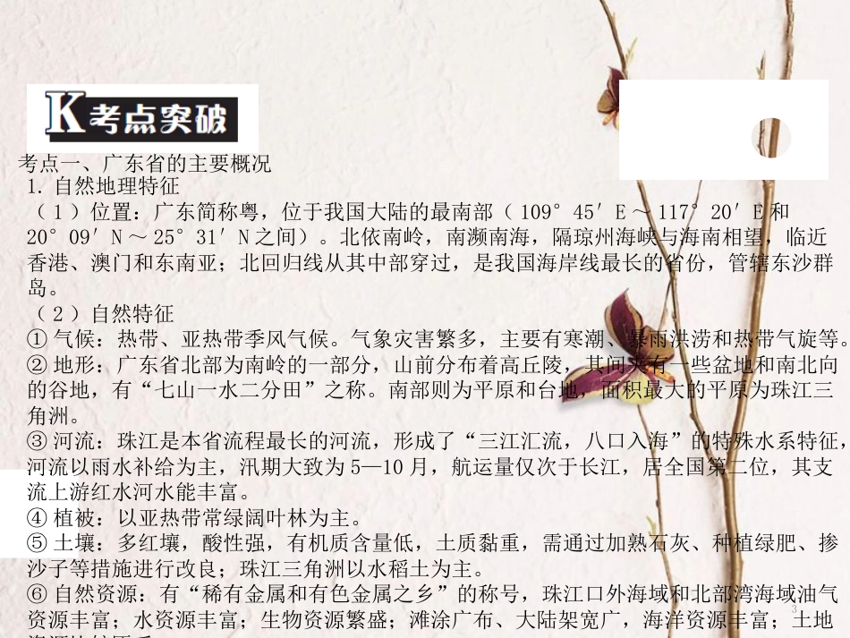 （广东专版）中考地理 中考解读 专题复习十九 广东乡土地理课件_第3页