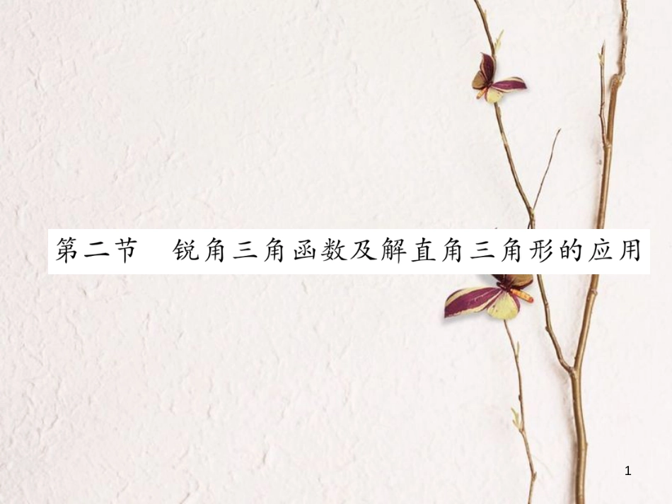 （青海专版）中考数学复习 第1编 教材知识梳理篇 第5章 图形的相似与解直角三角形 第2节 锐角三角函数及解直角三角形的应用（精练）课件_第1页