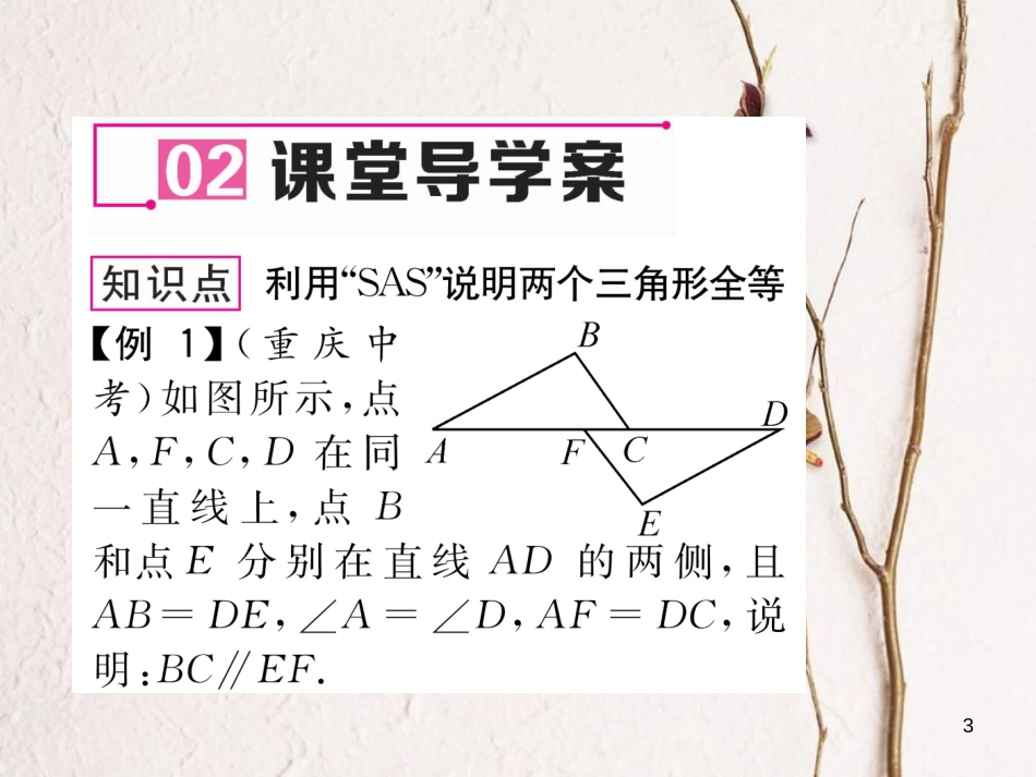 七年级数学下册 第4章 三角形 4.3 第3课时 边角边作业课件 （新版）北师大版_第3页