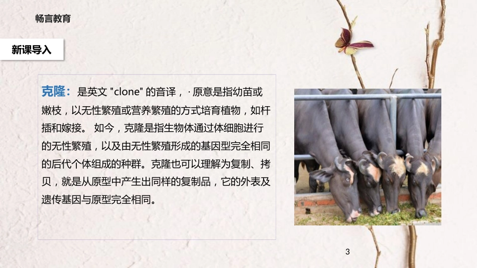 八年级语文下册 第一单元 比较探究《克隆技术的伦理问题》教学课件 北师大版_第3页