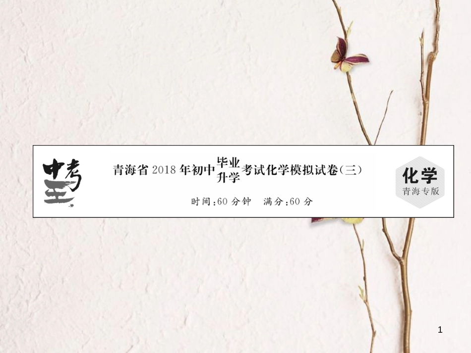 （青海专版）中考化学总复习 毕业升学考试模拟试卷（三）课件_第1页