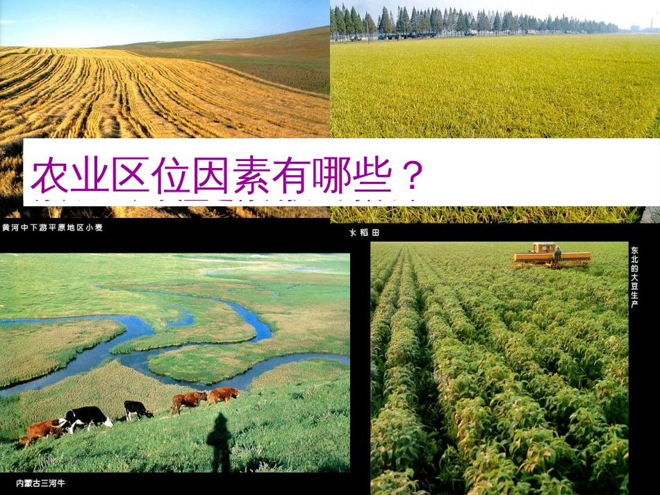 贵州省遵义市高中化学第三章农业地域的形成与发展3.2以种植业为主的农业地域类型课件新人教版必修2_第1页