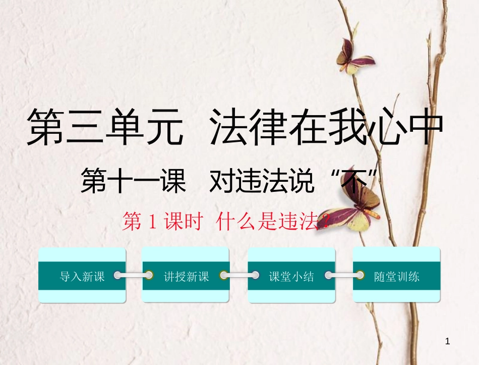 八年级道德与法治上册 第三单元 法律在我心中 第十一课 对违法说“不”第1框《什么是违法》课件 人民版_第1页