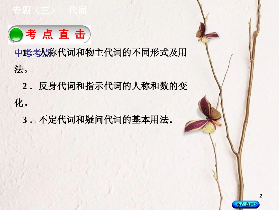 湖南省中考英语总复习 第二部分 语法点击 专题（三）代词课件 人教新目标版_第2页