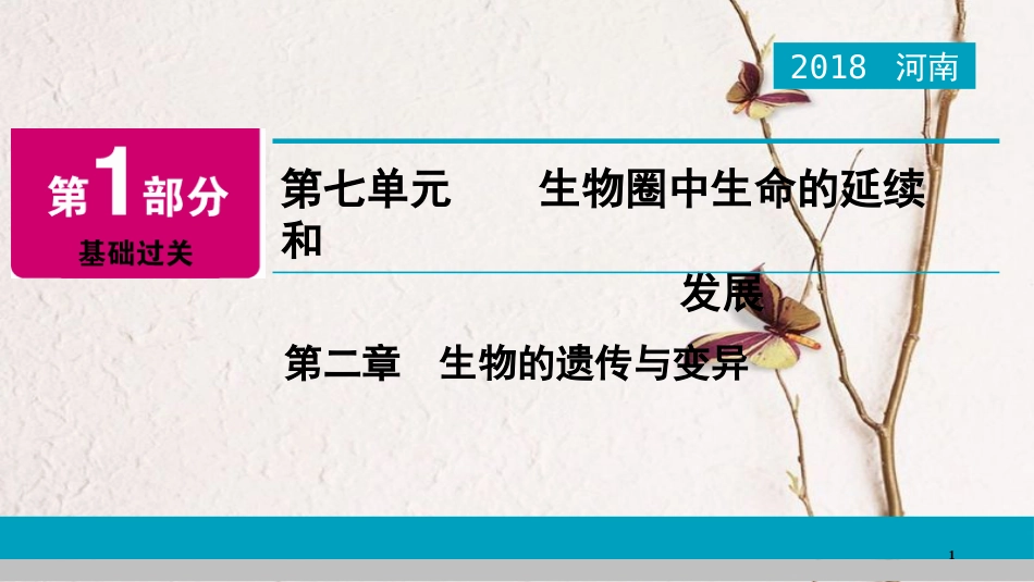 河南省2018年中考生物总复习 第1部分 第7单元 第2章 生物的遗传与变异课件_第1页