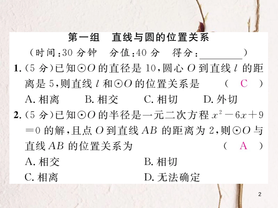 九年级数学下册 双休作业(6)作业课件 (新版)湘教版_第2页