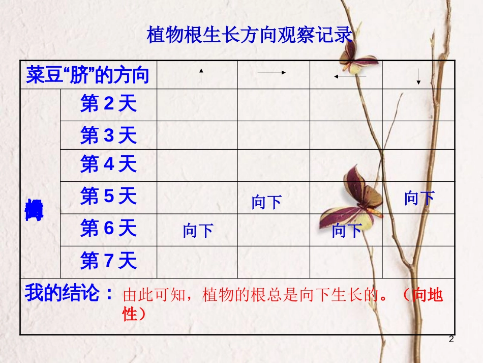 六年级科学上册 1.1 一棵顽强的小树课件2 湘教版_第2页