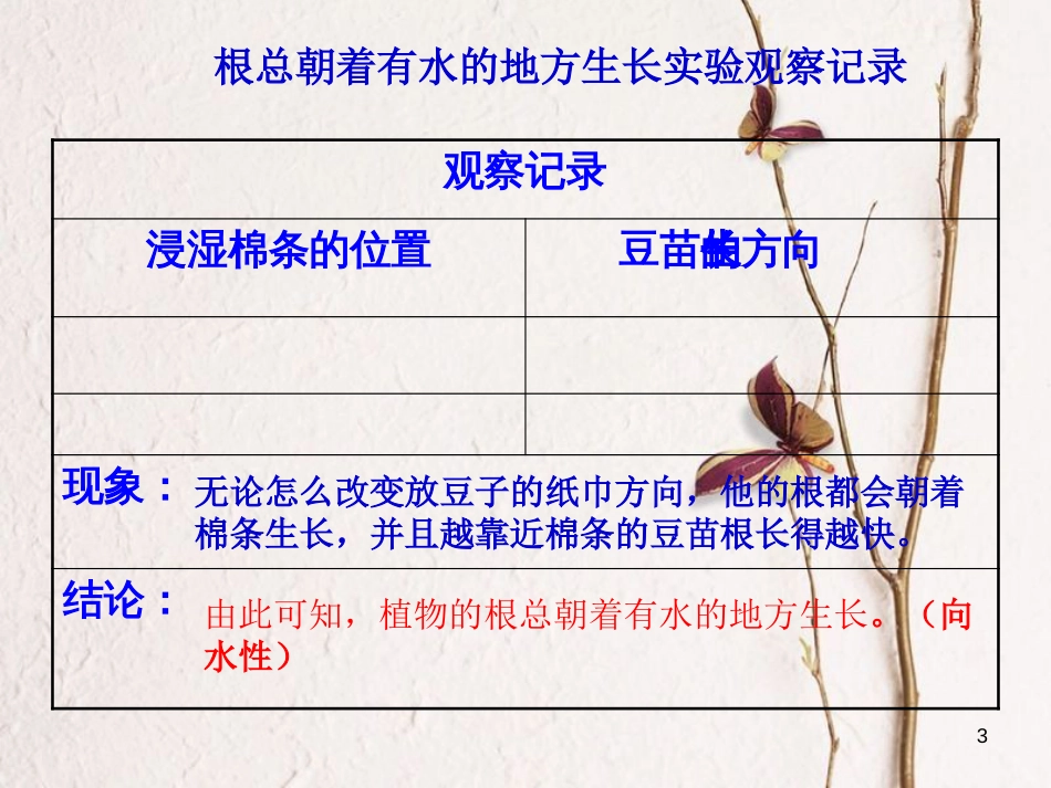 六年级科学上册 1.1 一棵顽强的小树课件2 湘教版_第3页