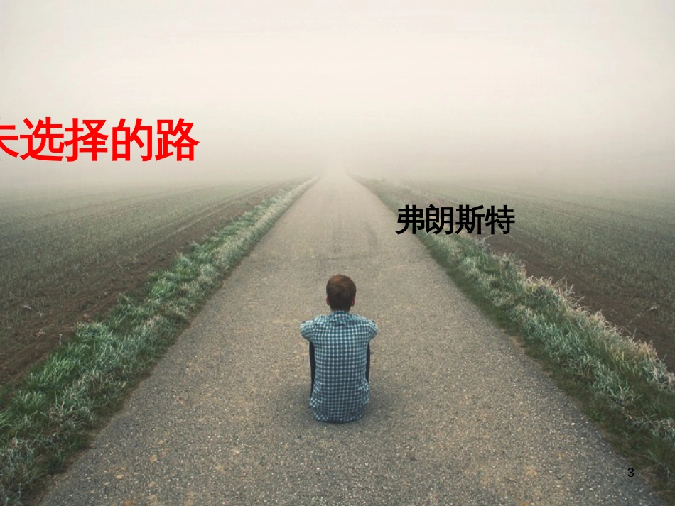 七年级语文下册 第五单元 19未选择的路课件 新人教版_第3页