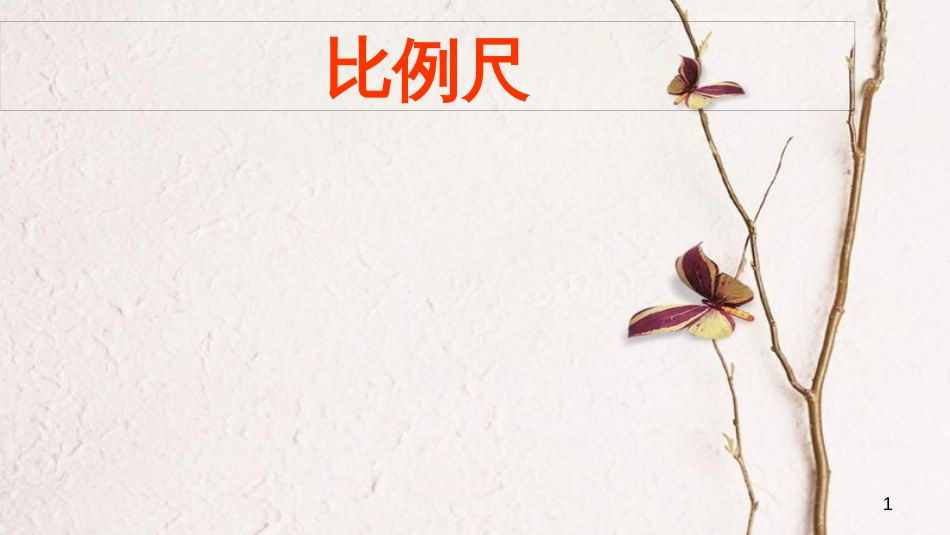 江西省寻乌县中考地理比例尺复习课件_第1页