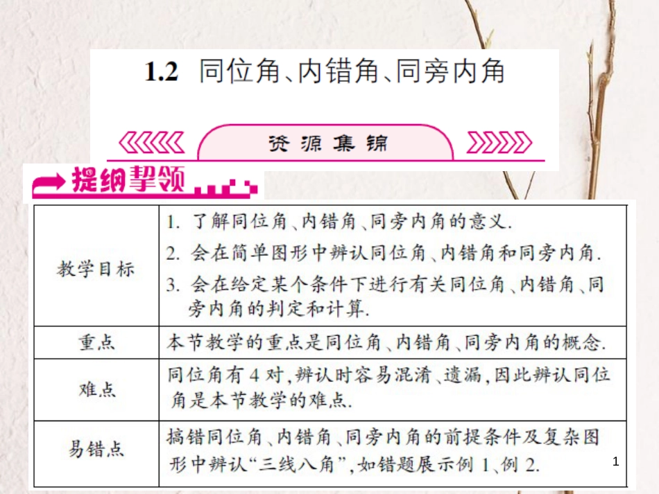 浙江省嘉兴市秀洲区七年级数学下册 第1章 平行线 1.2 同位角、内错角、同旁内角课件 （新版）浙教版_第1页