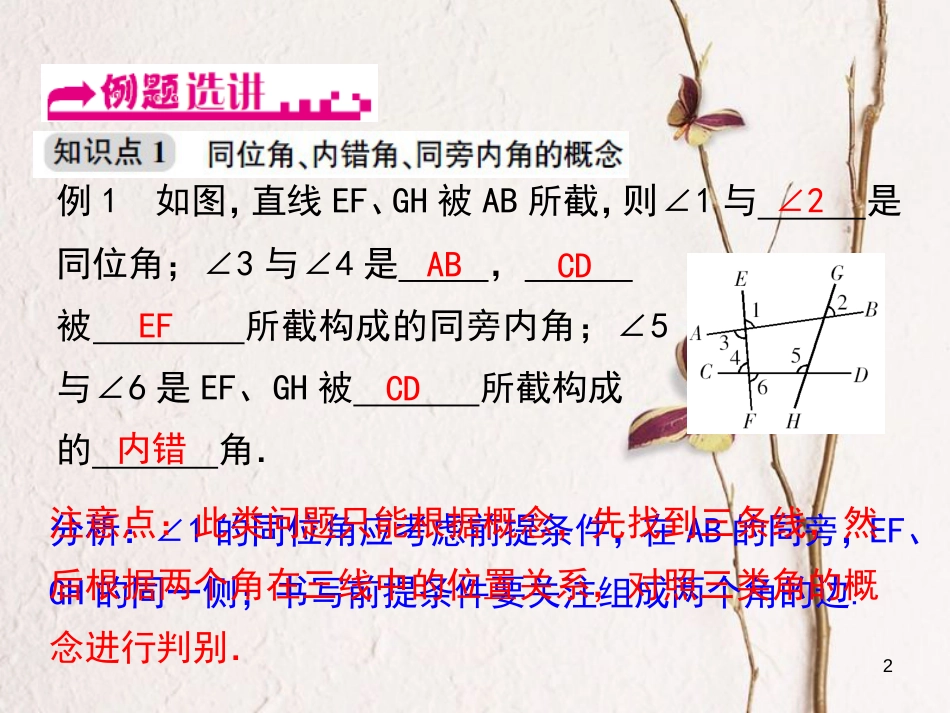 浙江省嘉兴市秀洲区七年级数学下册 第1章 平行线 1.2 同位角、内错角、同旁内角课件 （新版）浙教版_第2页