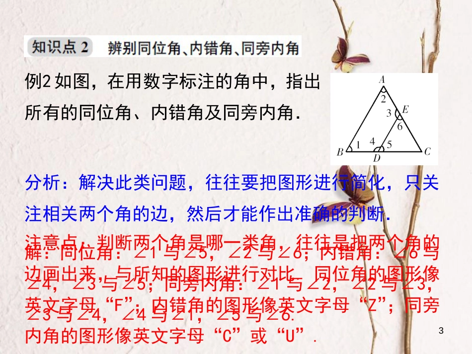 浙江省嘉兴市秀洲区七年级数学下册 第1章 平行线 1.2 同位角、内错角、同旁内角课件 （新版）浙教版_第3页