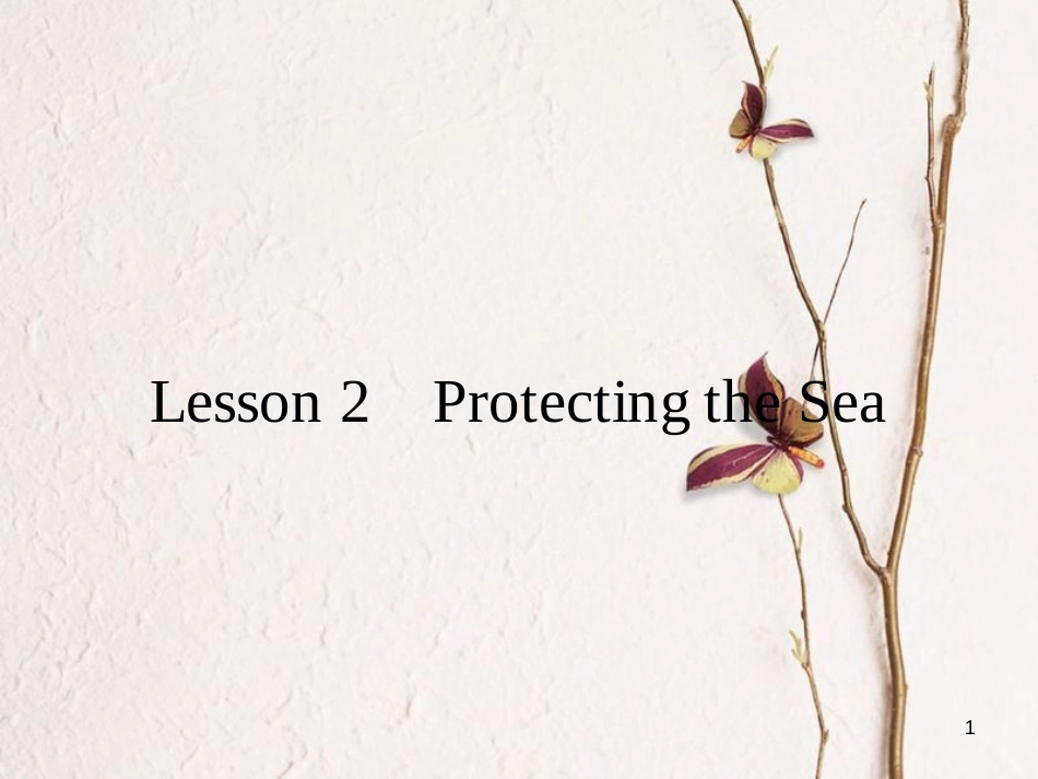 高中英语 Unit 7 The Sea 2 Lesson 2 Protecting the Sea课件 北师大版必修3_第1页