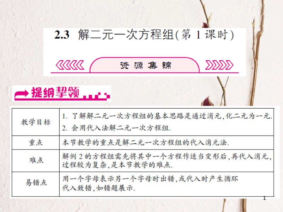 浙江省嘉兴市秀洲区七年级数学下册 第2章 二元一次方程组 2.3 解二元一次方程组（第1课时）课件 （新版）浙教版_第1页