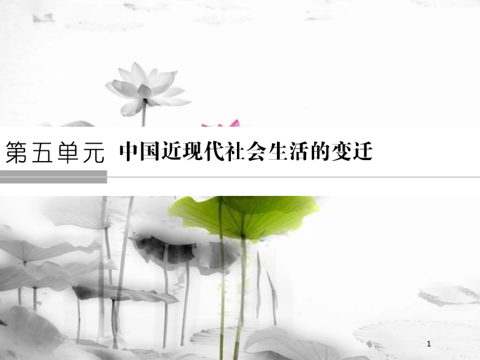 高中历史 第五单元 中国近现代社会生活的变迁 第14课 物质生活与习俗的变迁课件 新人教版必修2_第1页
