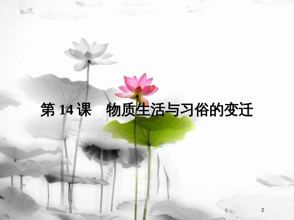 高中历史 第五单元 中国近现代社会生活的变迁 第14课 物质生活与习俗的变迁课件 新人教版必修2_第2页