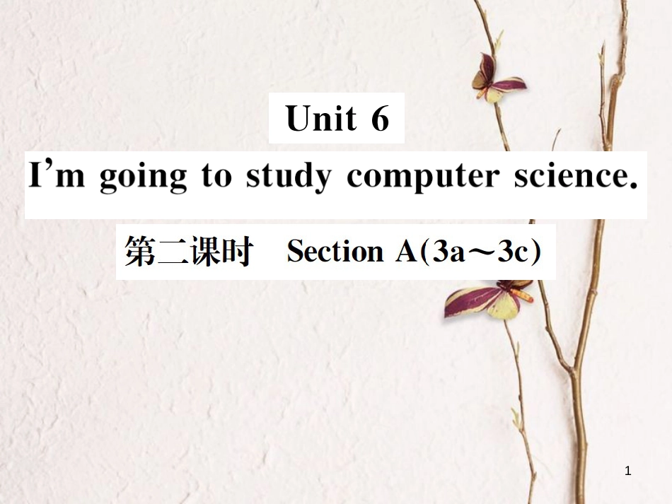 八年级英语上册 Unit 6 I’m going to study computer science（第2课时）习题课件 （新版）人教新目标版_第1页