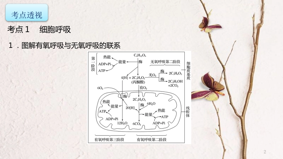 年高考生物二轮复习 专题2 细胞的代谢 第2讲 光合作用与呼吸作用（1）课件_第2页