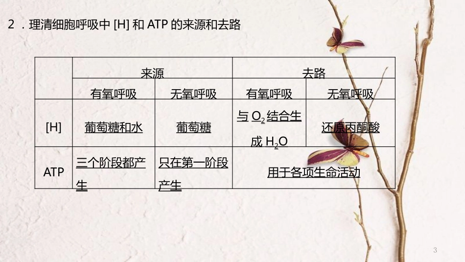 年高考生物二轮复习 专题2 细胞的代谢 第2讲 光合作用与呼吸作用（1）课件_第3页
