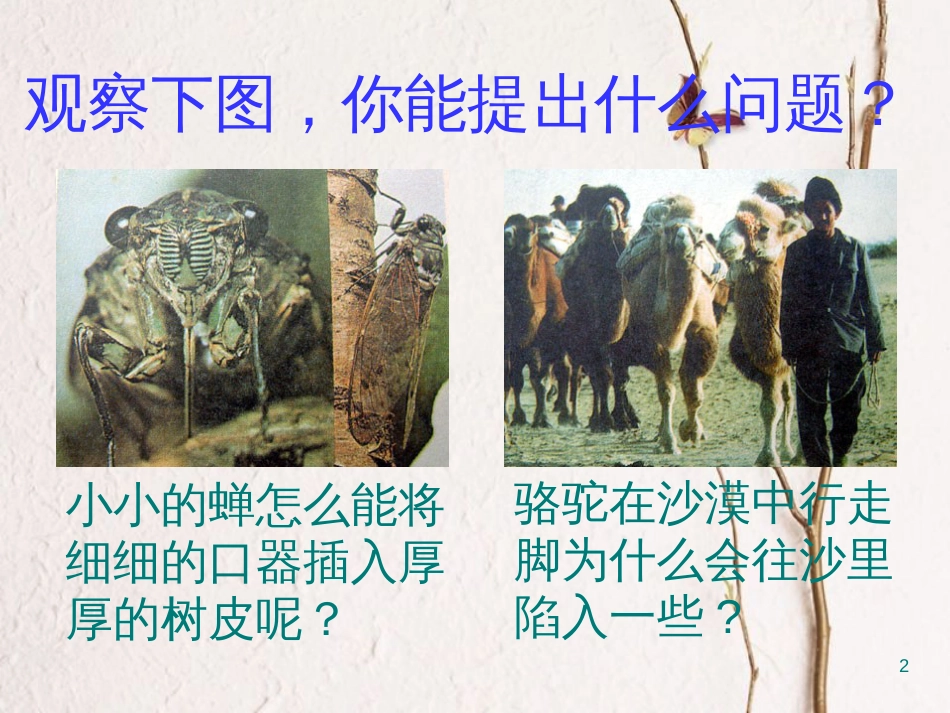 八年级物理下册 9.1压强课件3 （新版）新人教版_第2页
