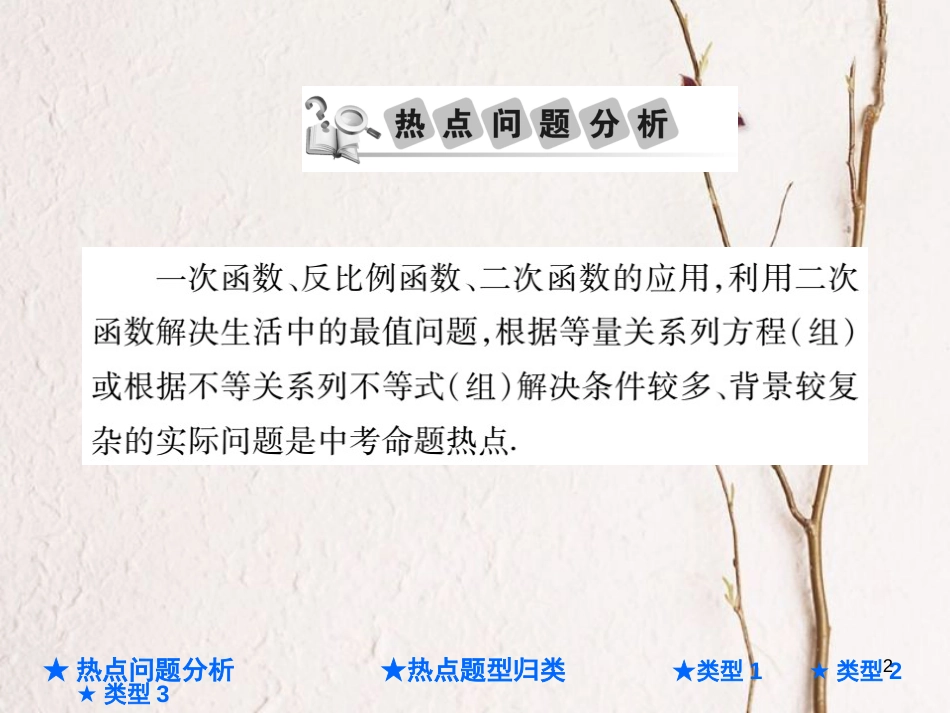 中考数学总复习 第二部分 重点专题提升 专题三 方程、不等式与函数的应用型问题课件_第2页
