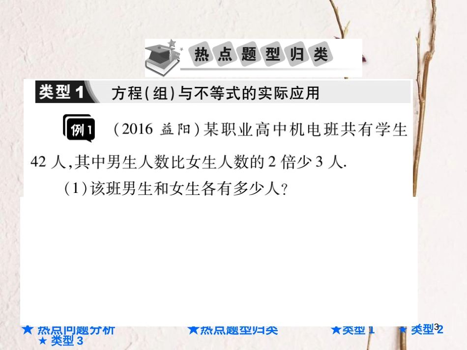 中考数学总复习 第二部分 重点专题提升 专题三 方程、不等式与函数的应用型问题课件_第3页