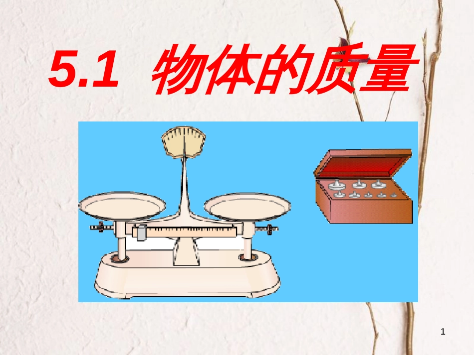 八年级物理上册 5.1 物体的质量课件1 （新版）粤教沪版_第1页