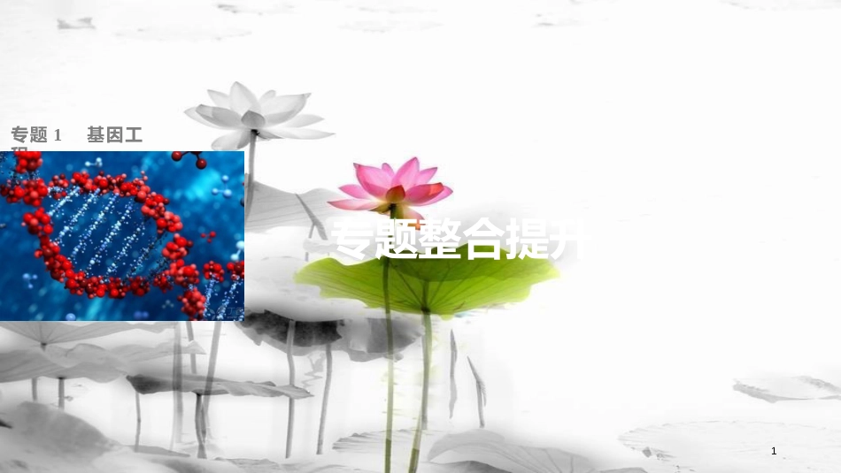 高中生物 专题1 细胞工程专题整合提升课件 新人教版选修3_第1页