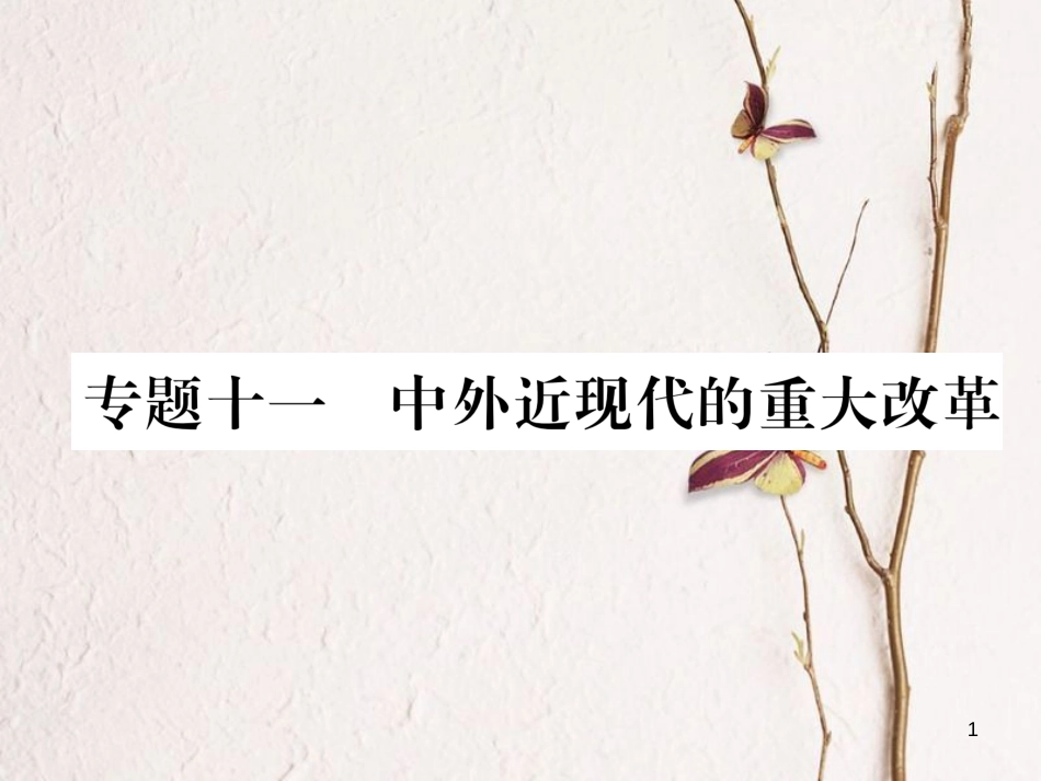 （河北专版）中考历史总复习 专题11 中外近现代的重大改革课件_第1页