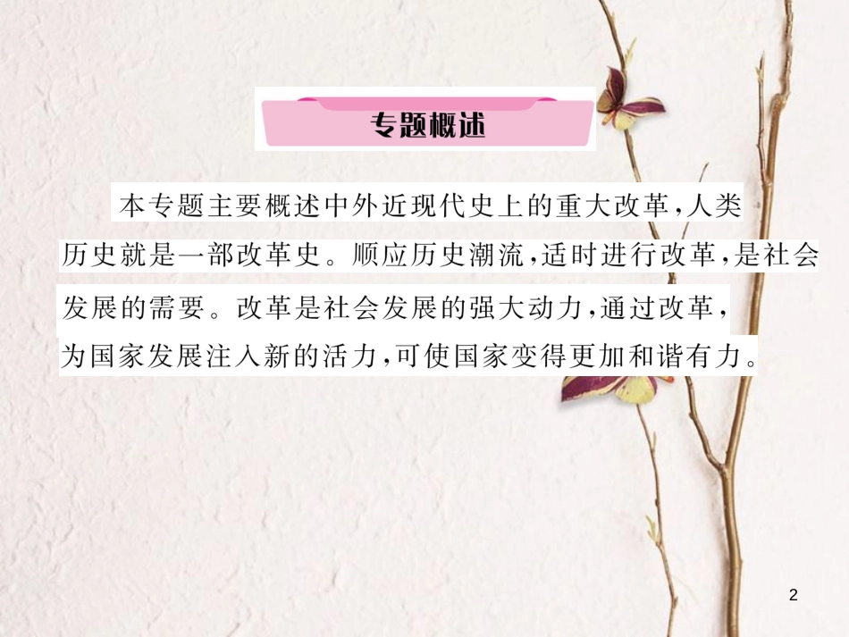 （河北专版）中考历史总复习 专题11 中外近现代的重大改革课件_第2页
