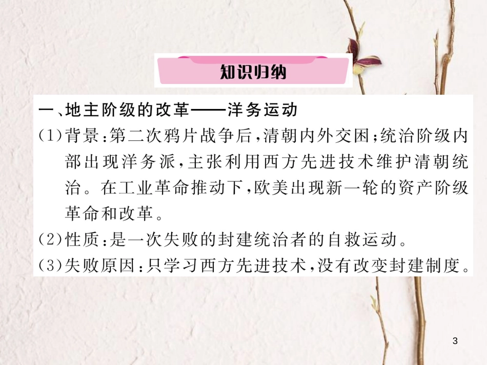 （河北专版）中考历史总复习 专题11 中外近现代的重大改革课件_第3页