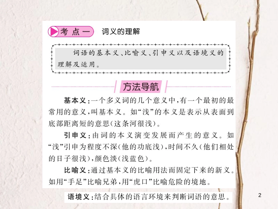 中考语文总复习 第2编 语文知识积累与运用 专题五 词语的理解与运用课件 语文版_第2页