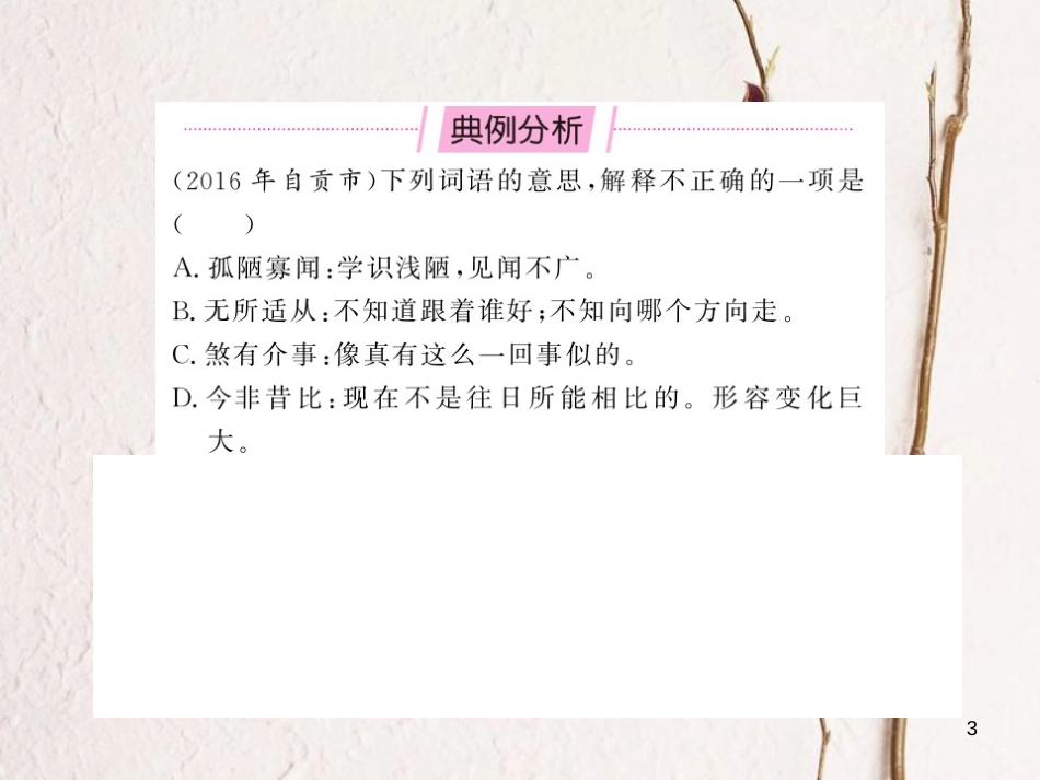 中考语文总复习 第2编 语文知识积累与运用 专题五 词语的理解与运用课件 语文版_第3页