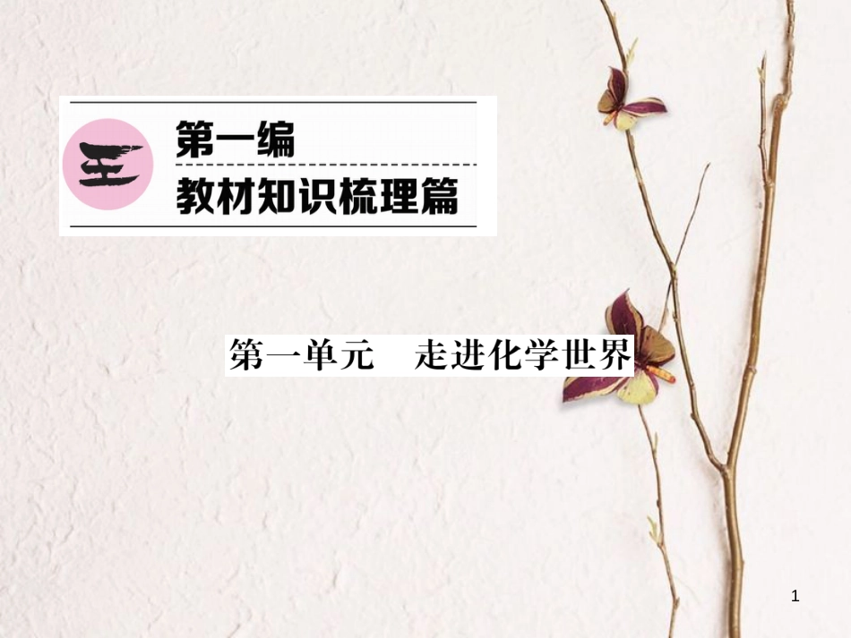 （青海专版）中考化学复习 第1编 教材知识梳理篇 第1单元 走进化学世界（精练）课件_第1页