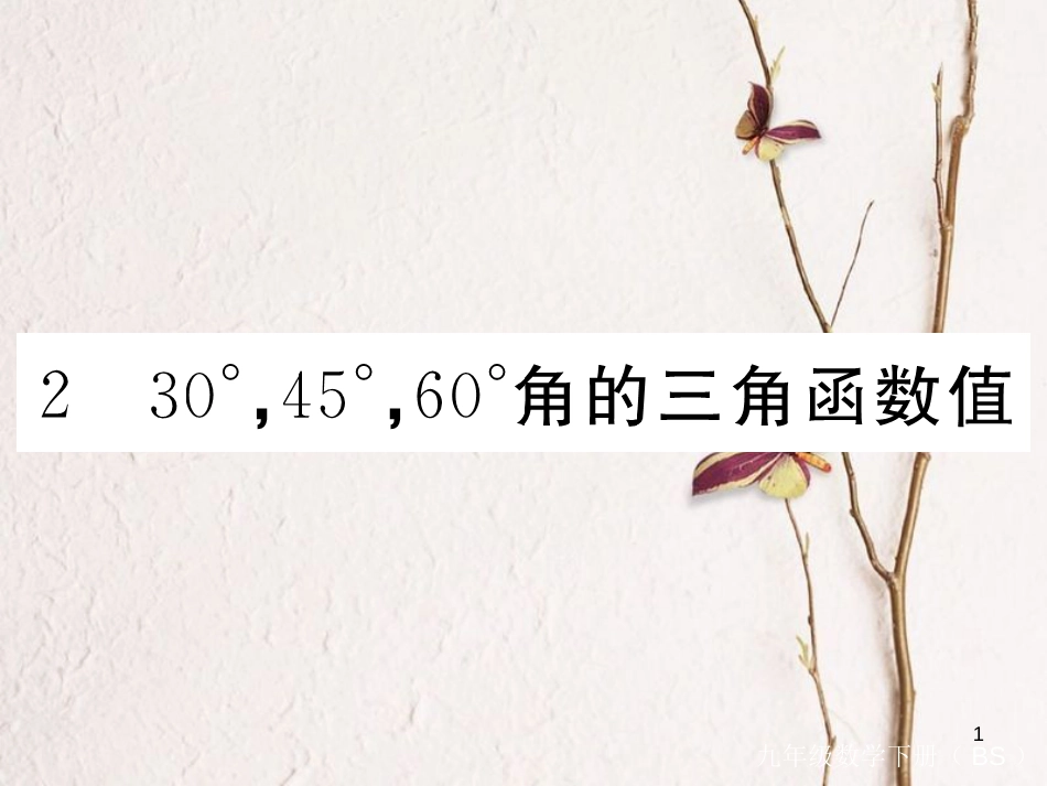 年九年级数学下册 第一章 直角三角形的边角关系 1.2 30°，45°，60°角的三角函数值练习课件 （新版）北师大版_第1页