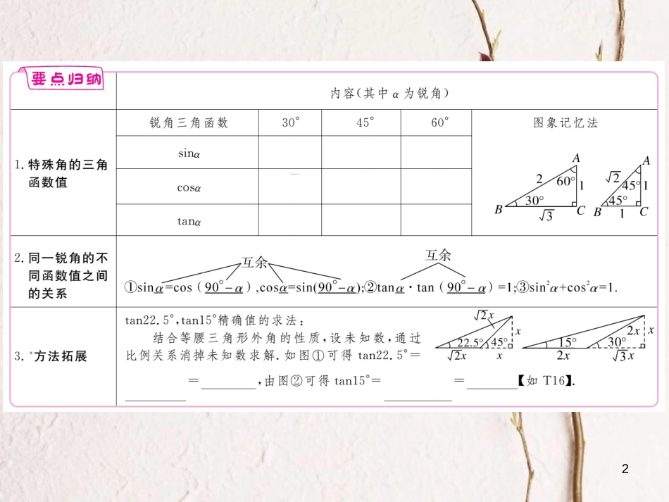 年九年级数学下册 第一章 直角三角形的边角关系 1.2 30°，45°，60°角的三角函数值练习课件 （新版）北师大版_第2页