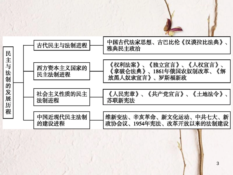 中考历史 单元专题五 民主与法制的发展历程课件_第3页