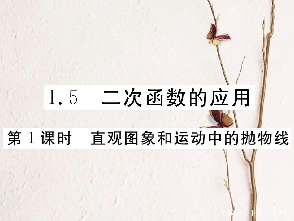 九年级数学下册 1.5 二次函数的应用 第1课时 直观图象和运动中的抛物线作业课件 （新版）湘教版_第1页