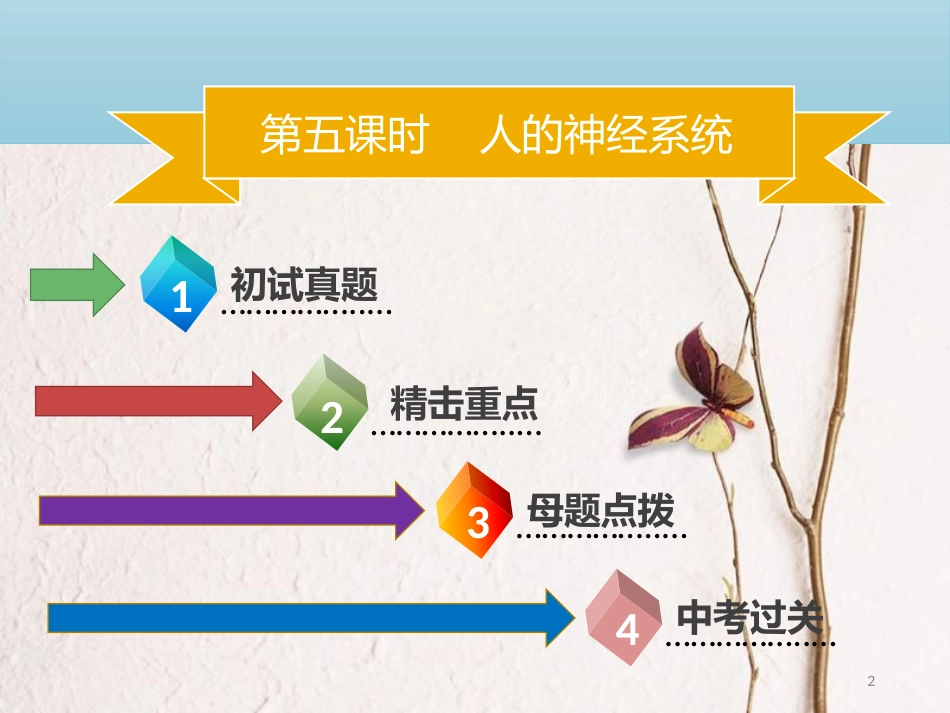 广东省中考生物 模块四 生物圈中的人 第五课时 人的神经系统课件_第2页